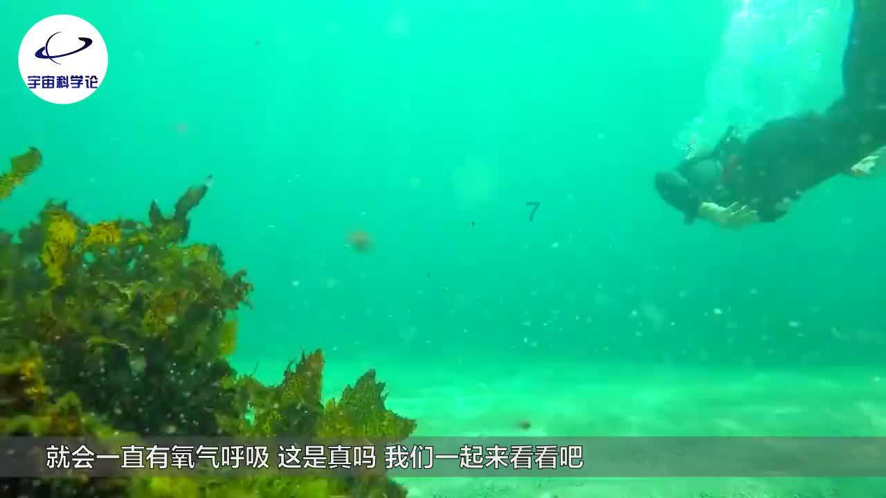 大话西游手游